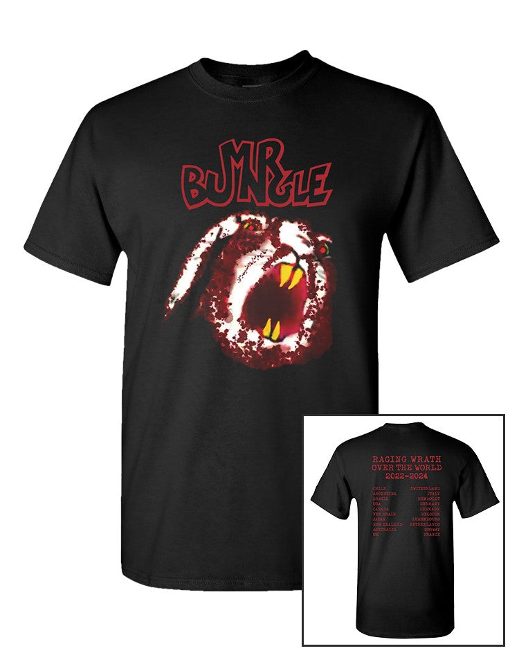 Mr Bungle 