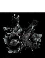 SPOTLIGHTS - "LOVE AND DECAY" CD (2019)