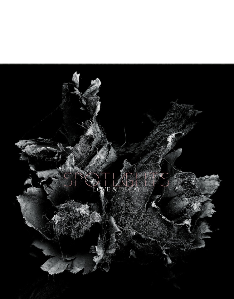 SPOTLIGHTS - "LOVE AND DECAY" CD (2019)