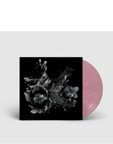 SPOTLIGHTS - "LOVE AND DECAY" COLOR 2LP (2019)