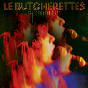 LE BUTCHERETTES - CRY IS FOR THE FLIES CD (2014)